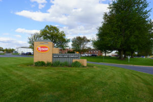 THE ENTRANCE TO A COMPLEX HAS A BRICK MEDIAN SITTING ON A PATCH OF GRASS WITH THE TYSON LOGO ON IT.