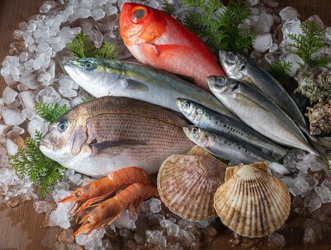 SEVERAL SPECIES OF FISH AND DIFFERENT TYPES OF SHELLFISH LAY ON TOP OF A PILE OF ICE.