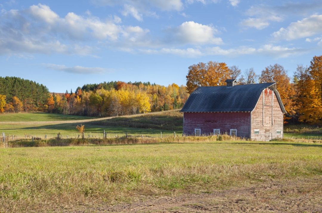 A BARN SITS IN A FIELD, FRAMED BY AUTUMNAL TREES.