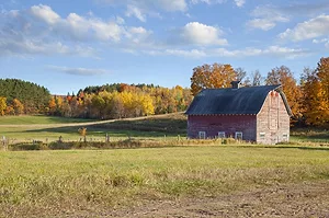 A BARN SITS IN A FIELD, FRAMED BY AUTUMNAL TREES.