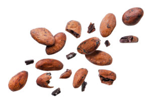 PIECES OF FULL AND BROKEN COCOA BEANS ARE SPREAD IN FRONT OF A WHITE BACKGROUND.