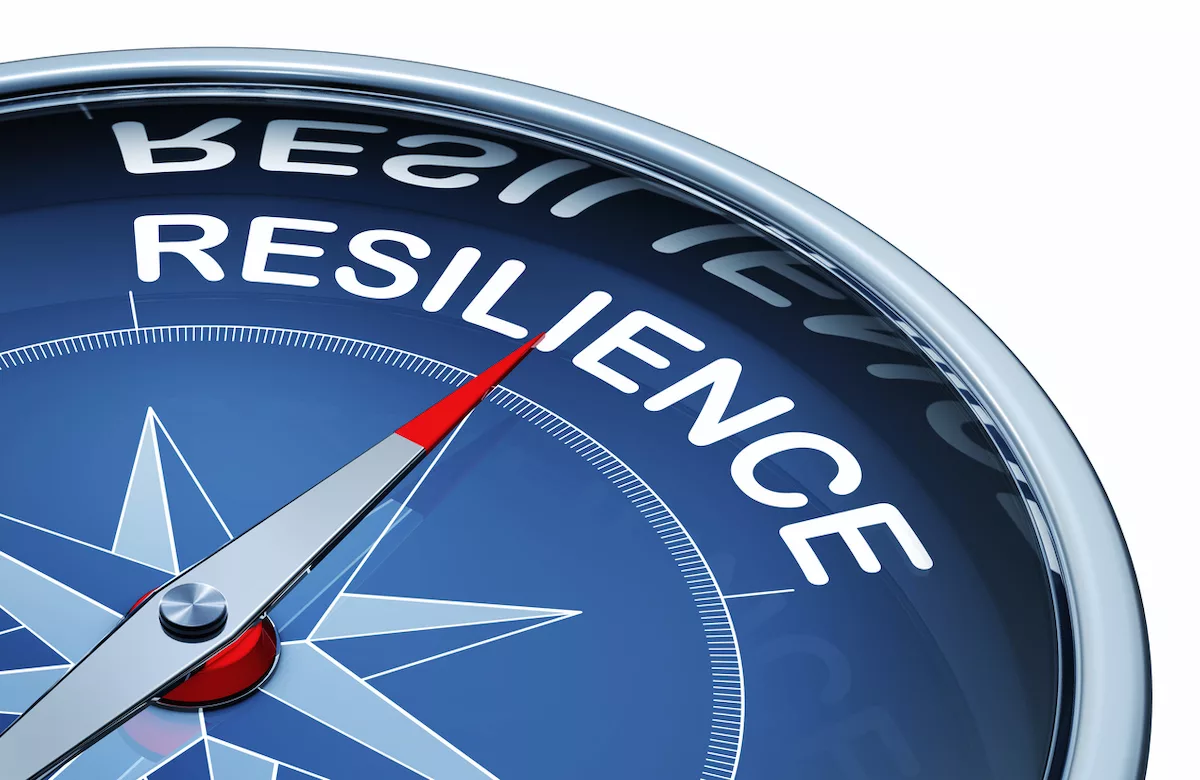 Supply chain resilient istock frankpeters 1086963994