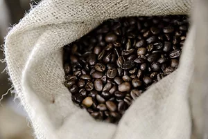 COFFEE BEANS IN A WHITE SACK.