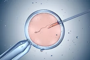 A NEEDLE ENTERS A PETRI DISH CONTAINING A SPERM