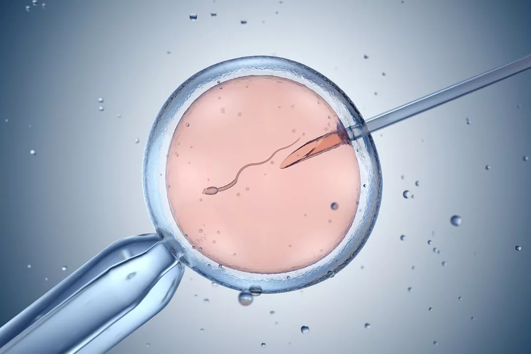 A NEEDLE ENTERS A PETRI DISH CONTAINING A SPERM