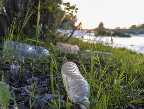 Plastic bottles littered in grass
