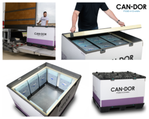 candor-food-chain-visual CANDOR.png
