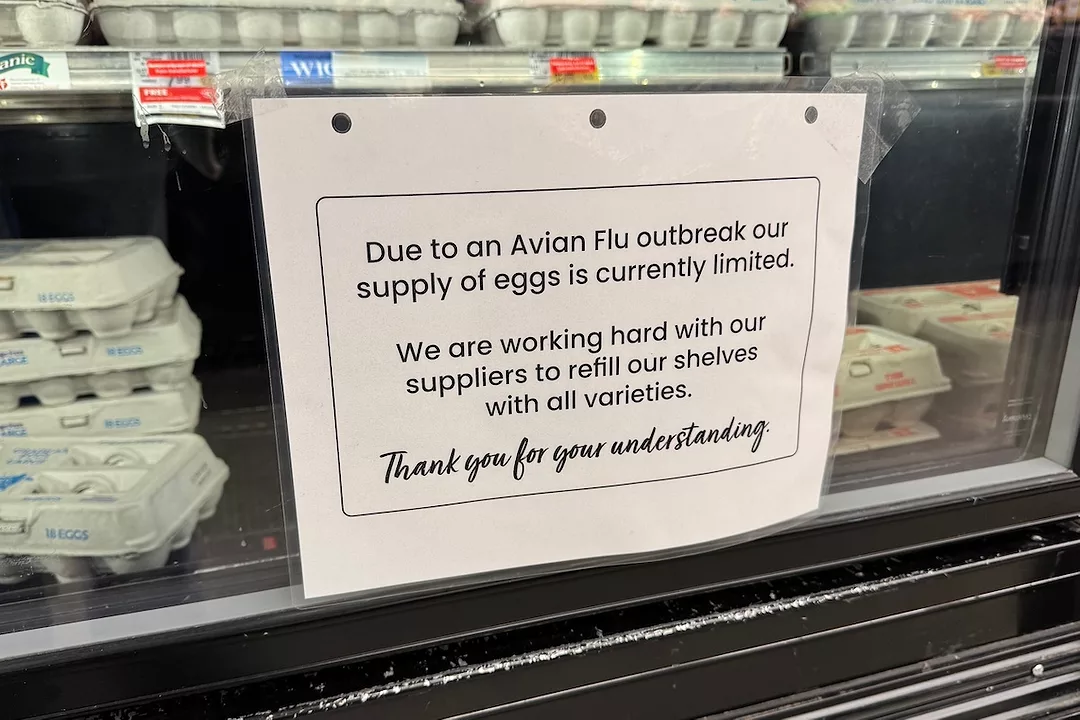 A grocery fridge containing stacks of egg cartons, with a sign on the outside warning of limited supplies of eggs due to an outbreak of avian flu..