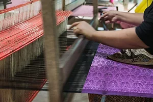 A woman's hands over a silk weaving loom, with purple fabric strung across it
