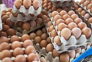 A pile of open egg cartons, filled with rows of brown eggs