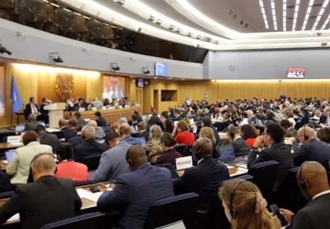 IMO-MEETING-APRIL-2025-copy.jpg