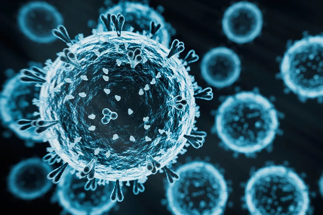 AVIAN FLU VIRUS H5N1 iStock-koto_feja-2150341687.jpg