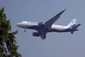 A white and blue passenger airplane flying over trees