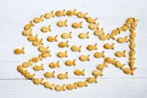 MANY SMALL FISH-SHAPED CRACKERS FORM A LARGER FISH SHAPE, WHICH IS EATING A SMALL FISH