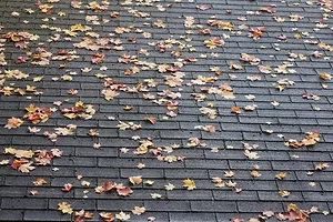 AUTUMN LEAVES SCATTERED ON A ROOF