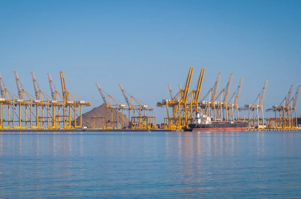 Bir limanın panoramik görünümünde sıralanmış sarı vinçler göze çarpıyor