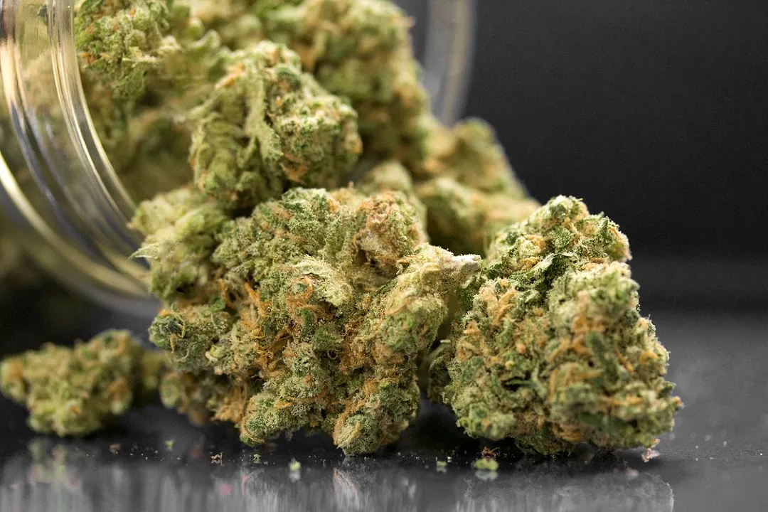 A Close Up Of Cannabis Flowers spilling out of a Jar