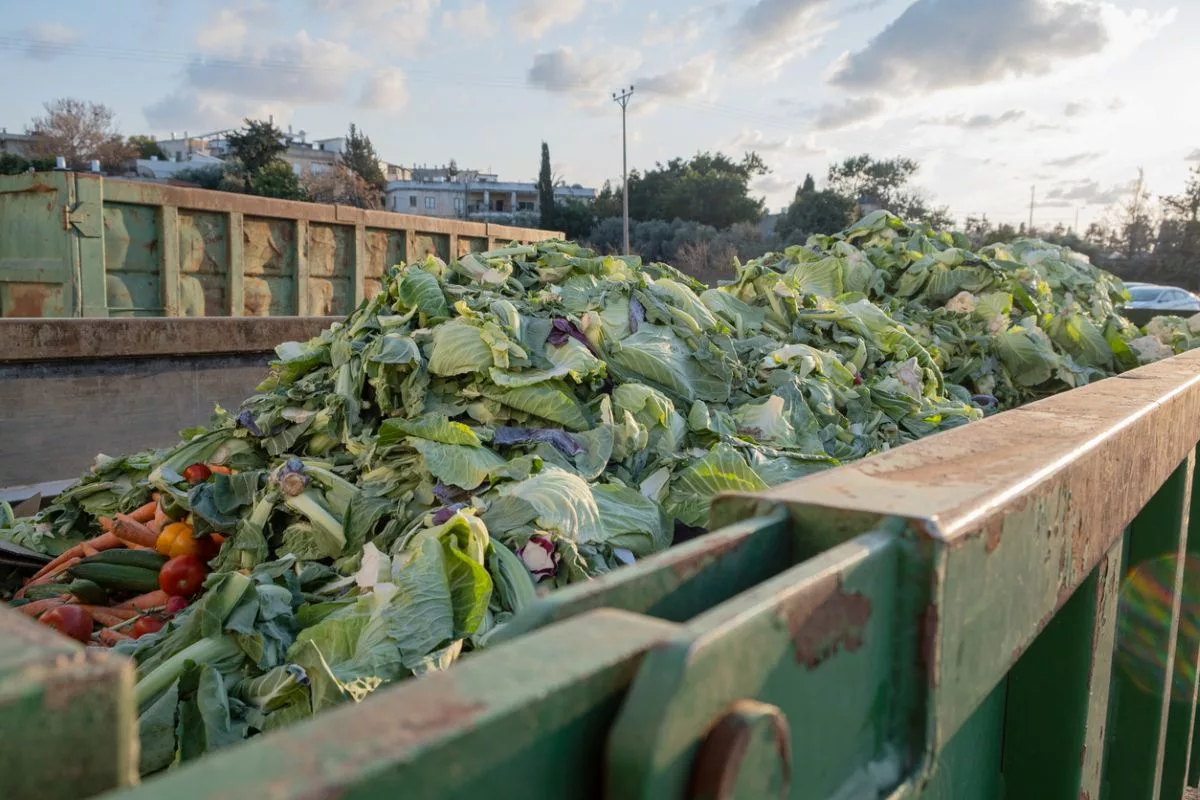 Food waste istock roman mykhalchuk 1475388161