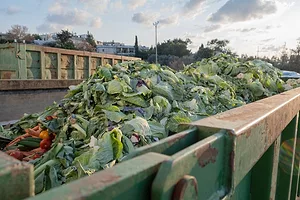A mix of Vegetables and fruits in a huge container, in a rubbish bin.