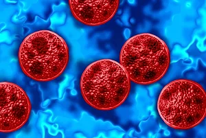 A MICROSCOPE'S VIEW OF ROUND RED PARASITES IN A BLUE MEDIUM