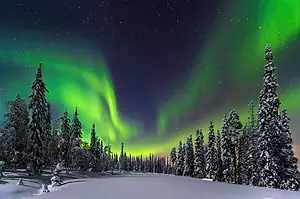 BRIGHT BANDS OF GREEN LIGHT FLOAT IN THE SKY ABOVE A SNOW-BOUND FOREST AT NIGHT