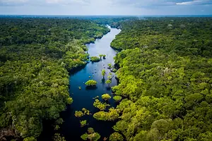 A MIGHTY RIVER SNAKES THROUGH A DENSE RAIN FOREST