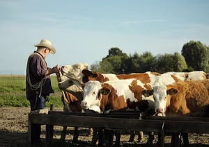 0723_USRanchersandMeat.jpg U.S. Ranchers and Meat Packers Could Be the Next Victims of the Trump Trade War