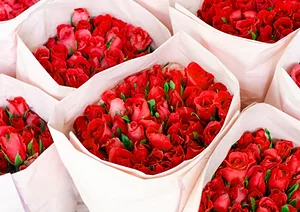 0214 rosesarecheapon