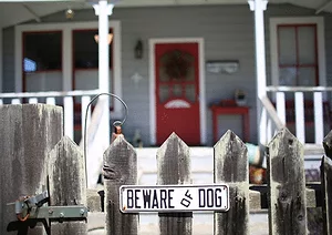 041917 dogattacksonmail sliderimage