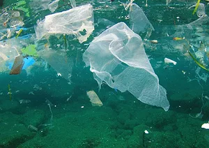 062717 plasticpollutioninthe