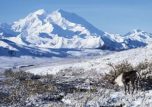 Alaska