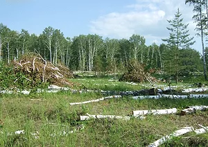 Environmental 7