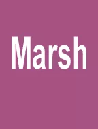 Marsh 04