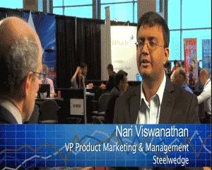 Nari viswanathan image