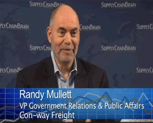 Randy mullett image