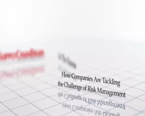 Resilinc itk image